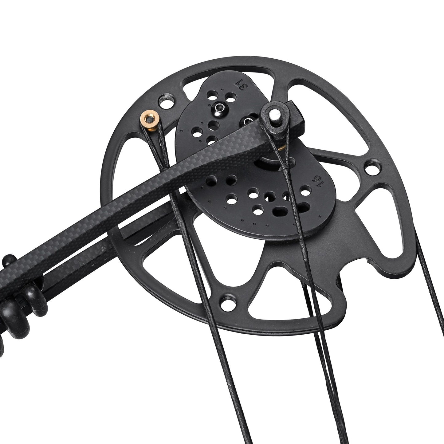 Adult professional compound bow